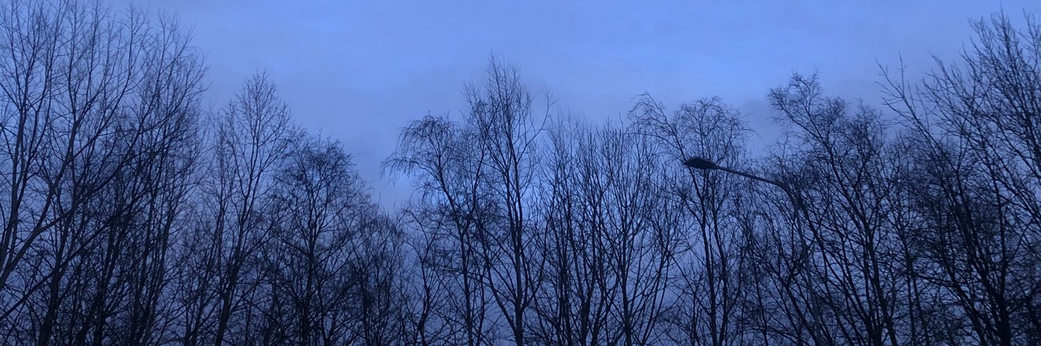LmWonka's profile banner image