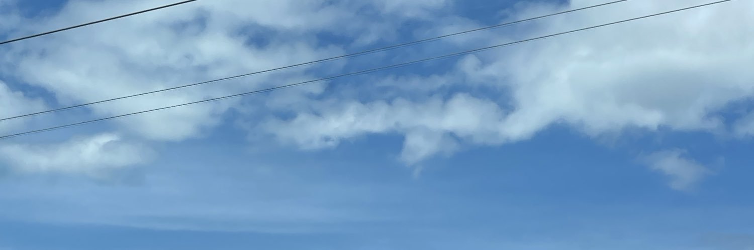 flestmtzg's profile banner image