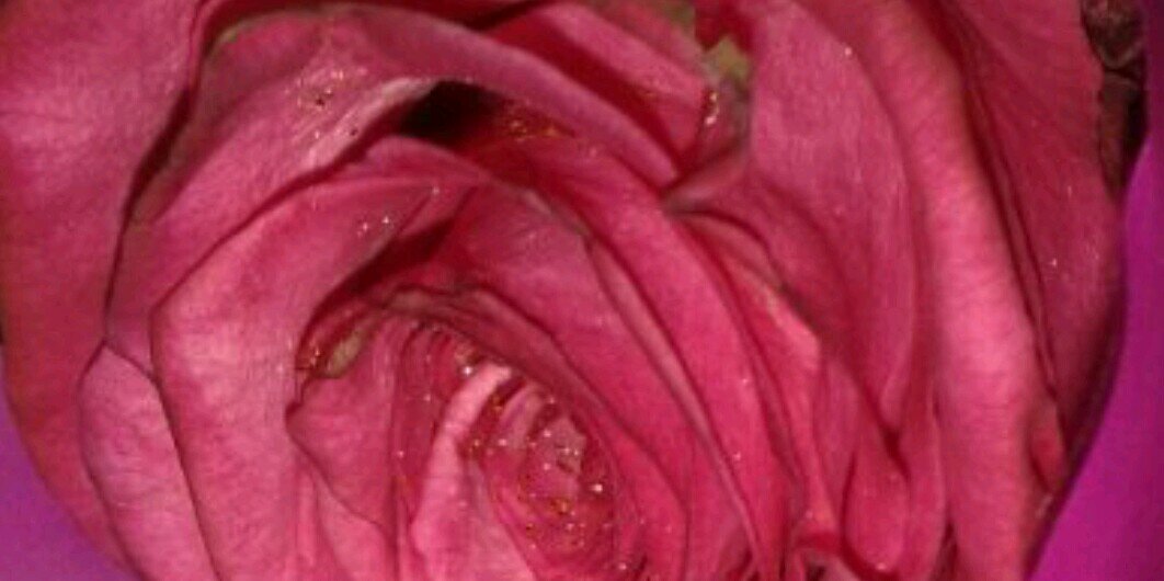 3ynee689's profile banner image