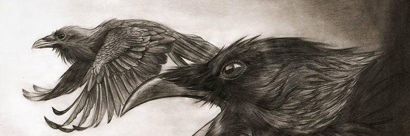 Pascal_d_Aulnay's profile banner image