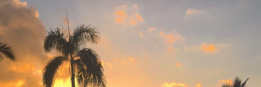 arantxacanob's profile banner image