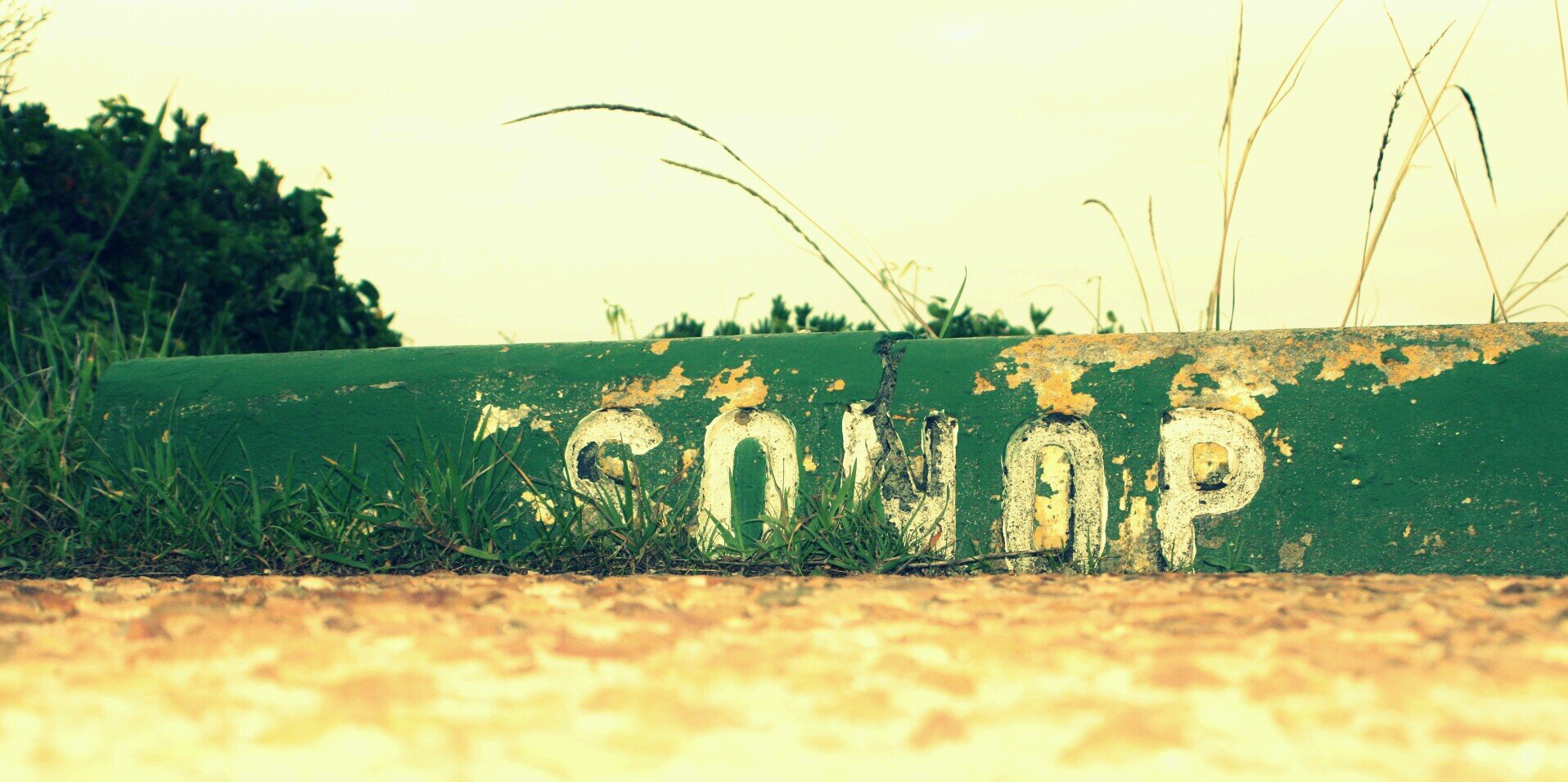 Madeli du Toit banner