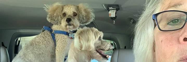 Scot Otter (Jim Williams) banner