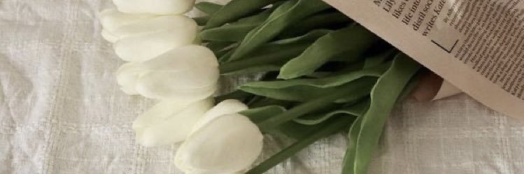 flower_diary__'s profile banner image