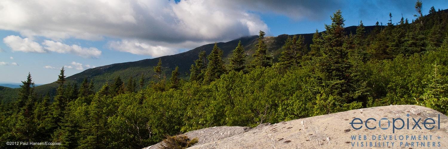 Ecopixel's profile banner image