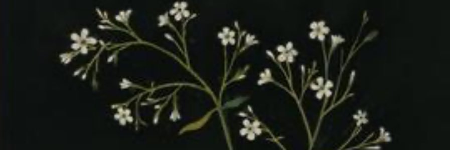 anne_ryu2's profile banner image