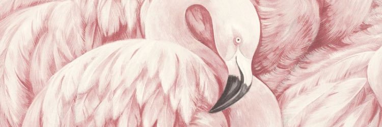 flamenca27's profile banner image