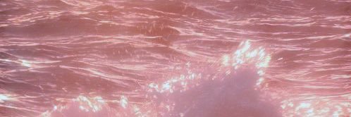 capricorn cunt 🎀's banner