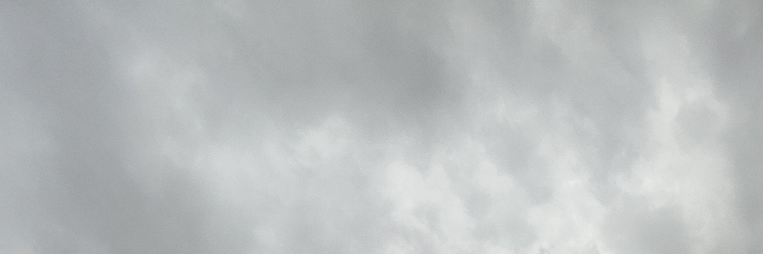 MUJI banner