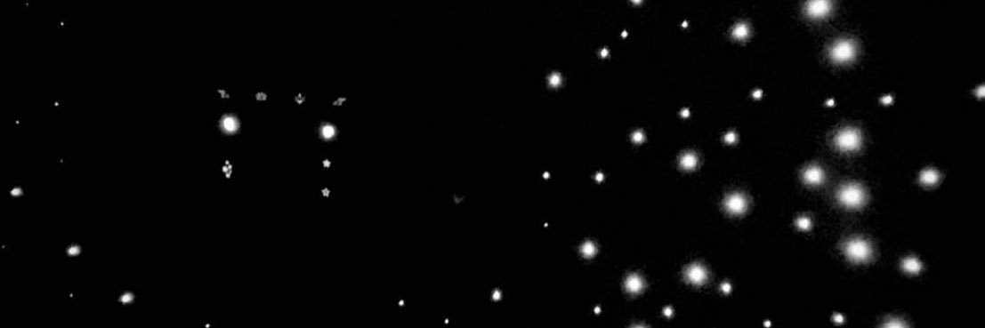 a l♌︎o banner