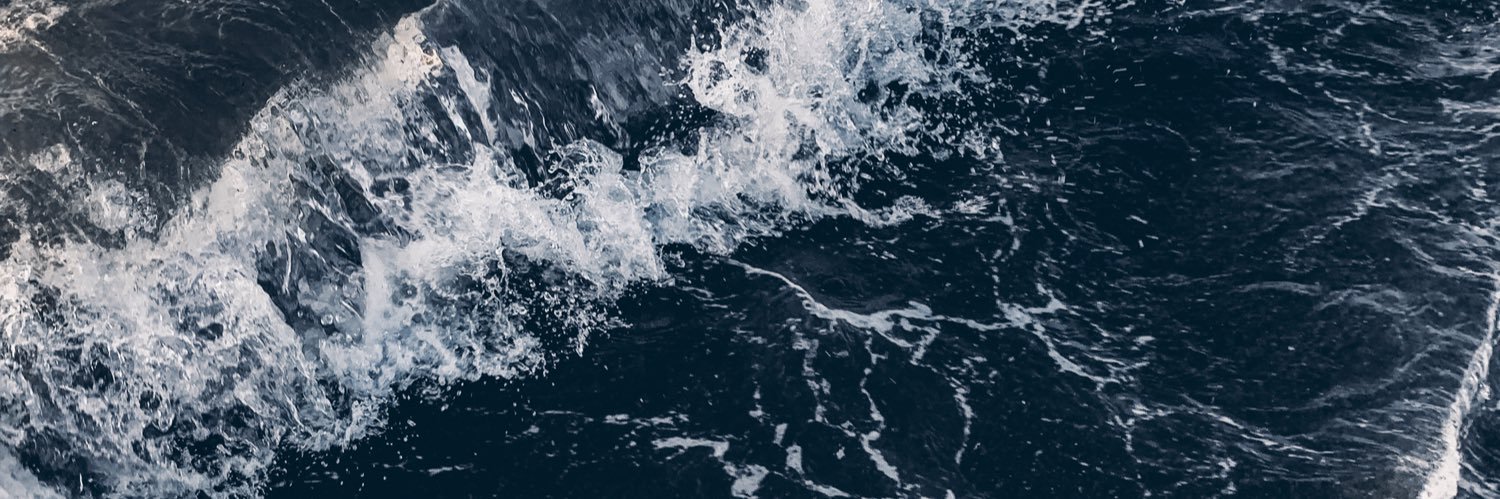 Sarj banner