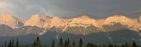 jevnnette Profile Banner