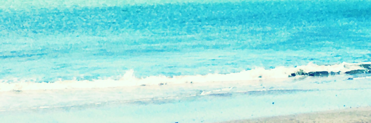 Barbara Bravi 🎯🧩📊📗🖋️🔎 banner