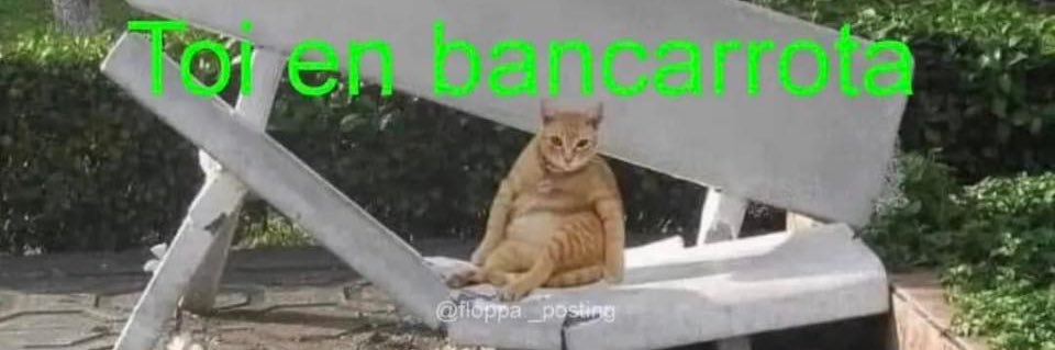 RamdomProfile🦧 banner