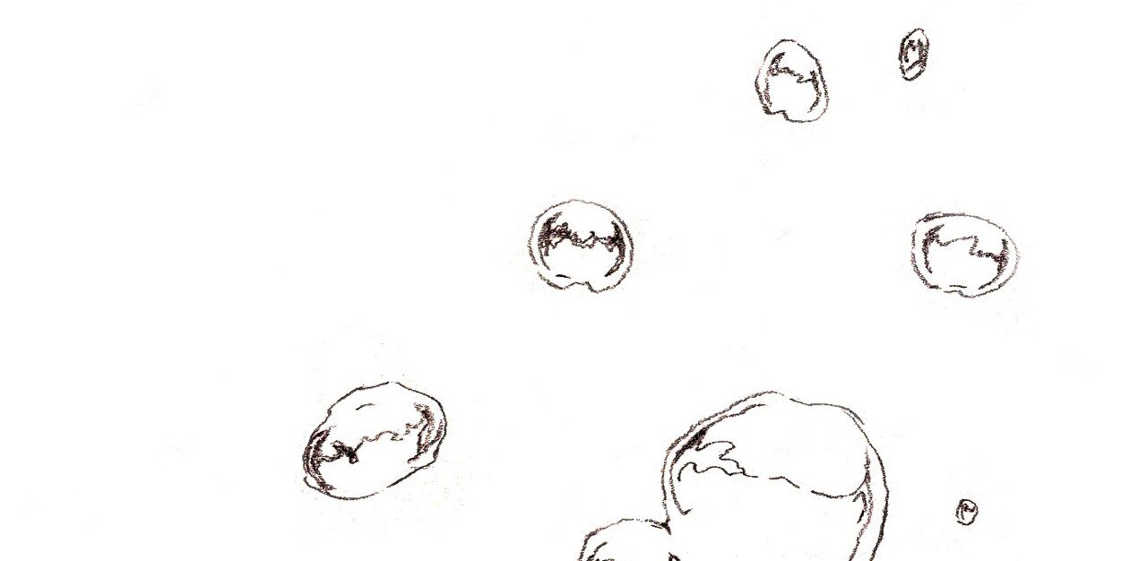 mimitome2's profile banner image
