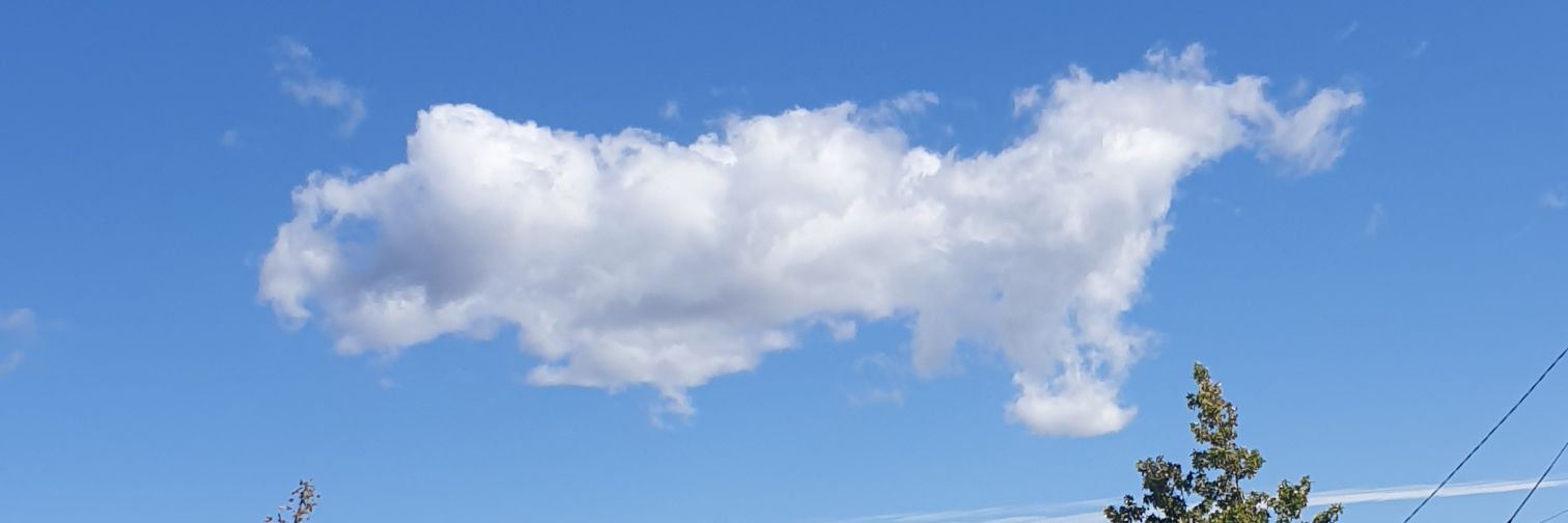 MOB banner