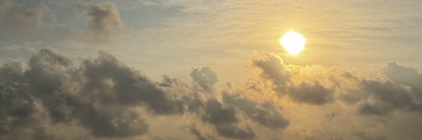 lazyisachoice Profile Banner