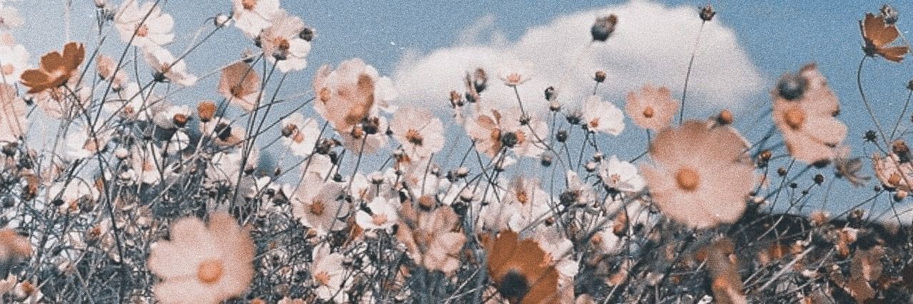 lacyyyyj's profile banner image