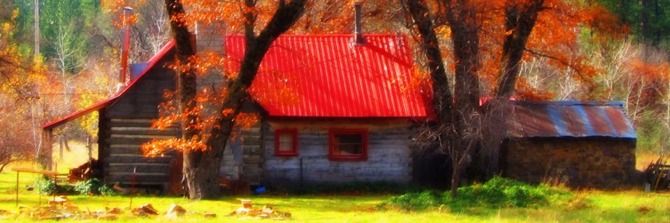 IBeDense's profile banner image