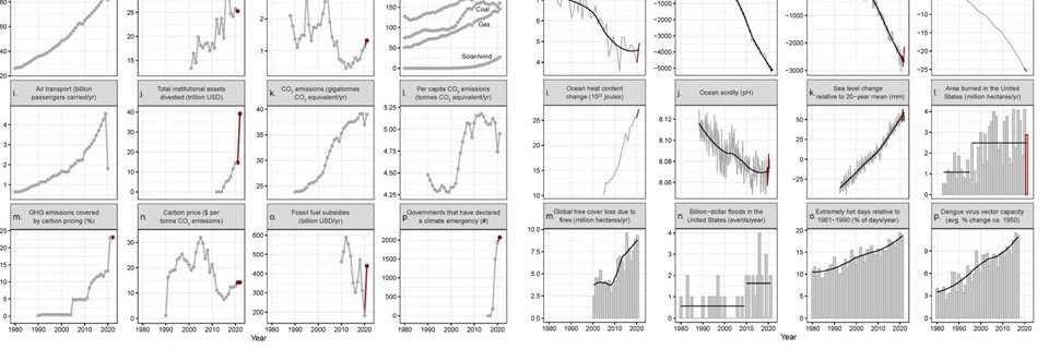 Hans Stegeman banner