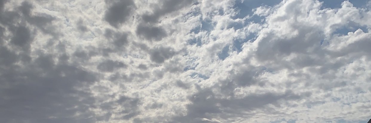 النايفه 🇸🇦 banner