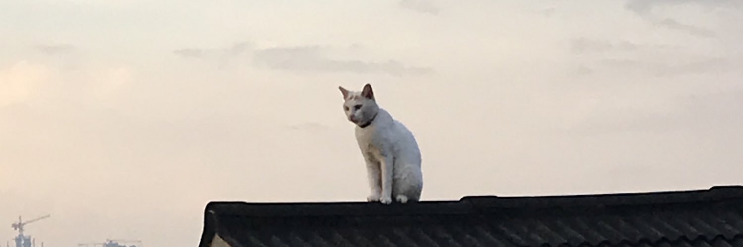 primariedom's profile banner image