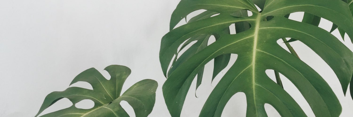arigum's profile banner image