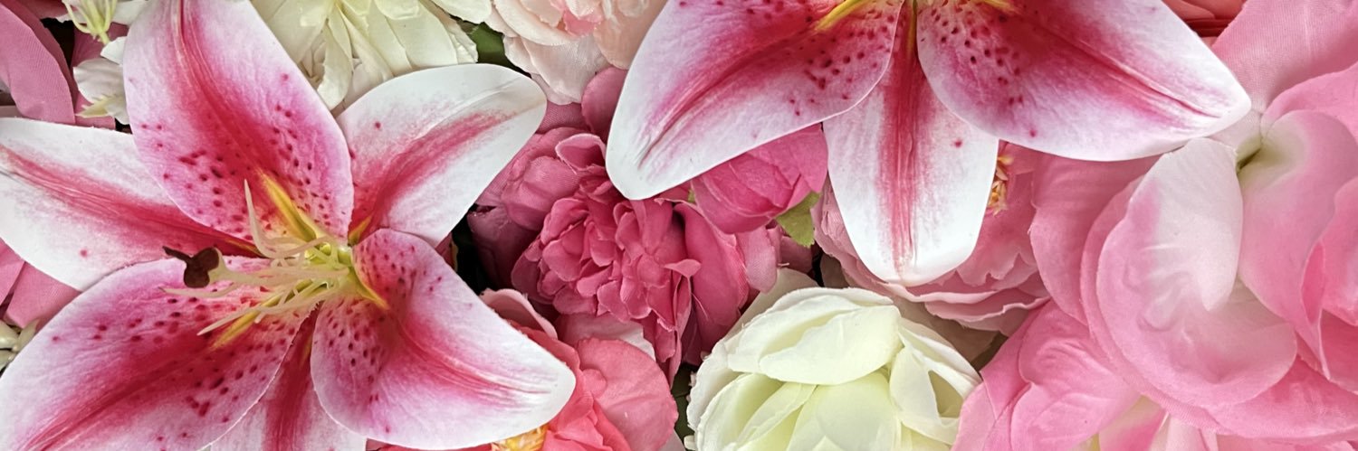 ⋆ ꫂ ၴႅၴ ˚ banner