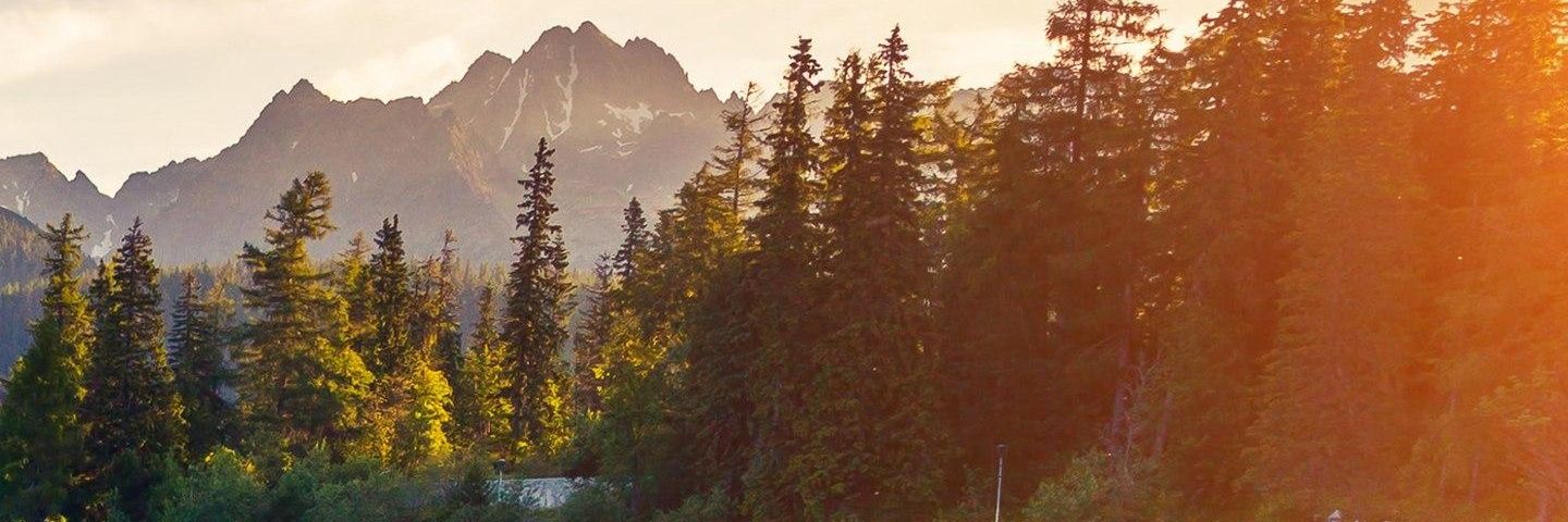 DanielaFonsc's profile banner image