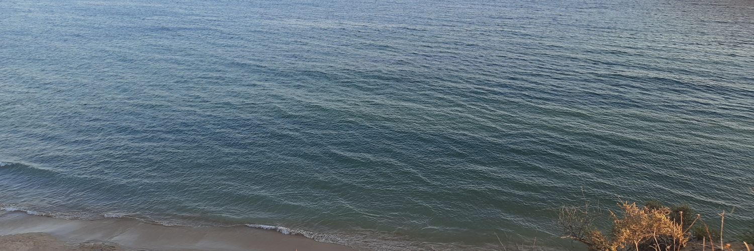 _GuruPengui_'s profile banner image