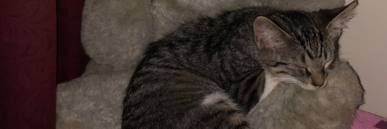 CatLivesMatter banner