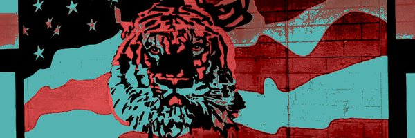 ULTIONISTIGRIS Profile Banner