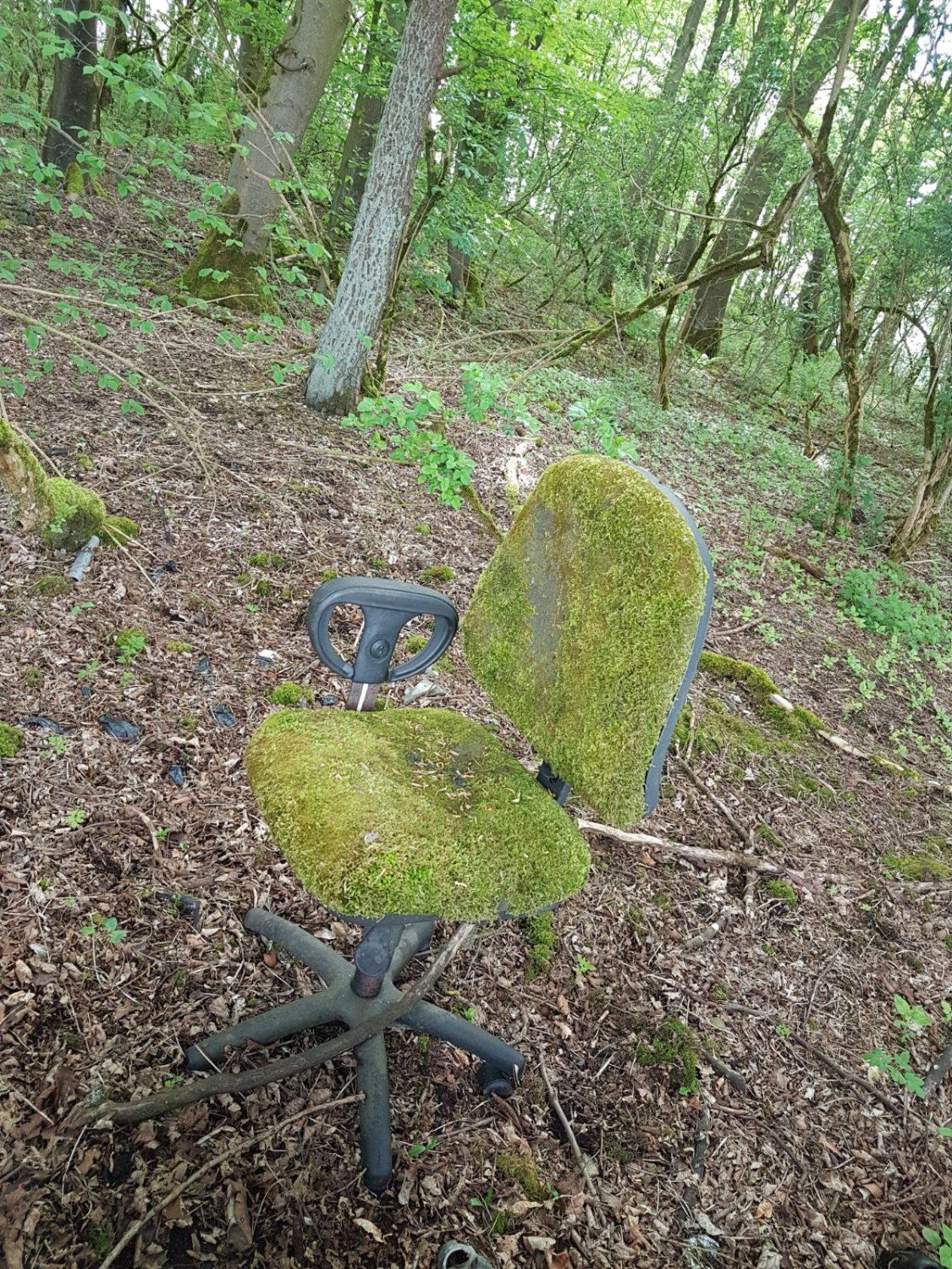 Katie Moylan @analogadjacent.bsky.social banner