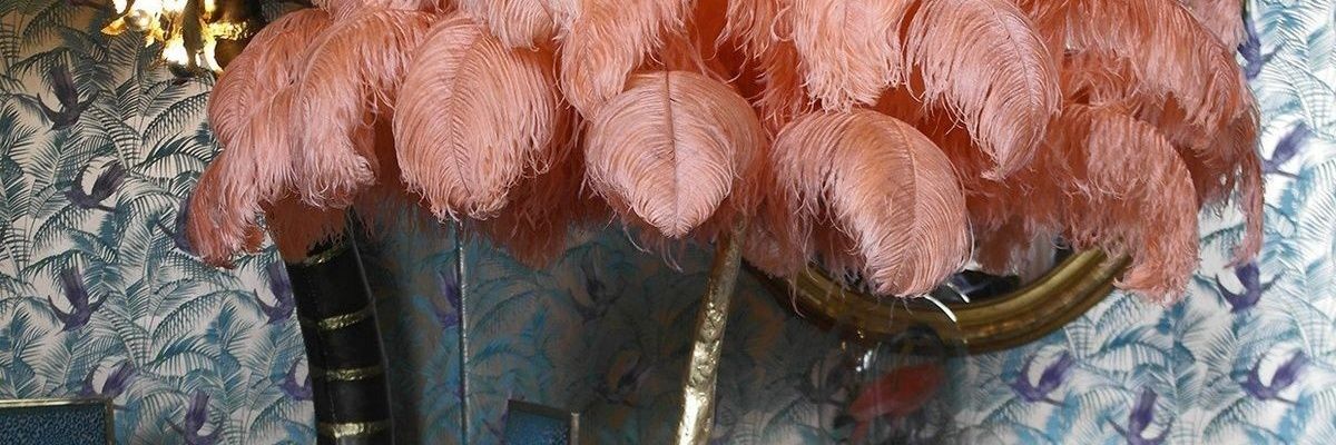 MRenardier's profile banner image