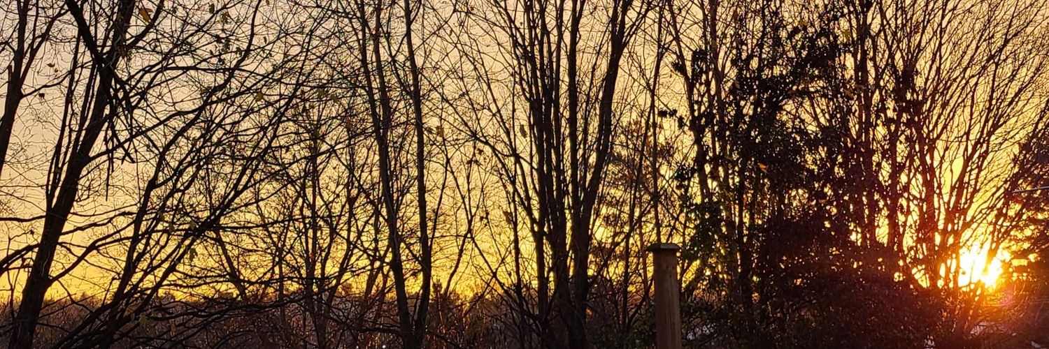 StickyPineGuy's profile banner image