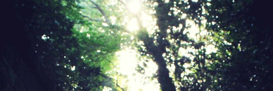 tsukimishigure's profile banner image