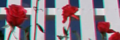 extraisadora's profile banner image