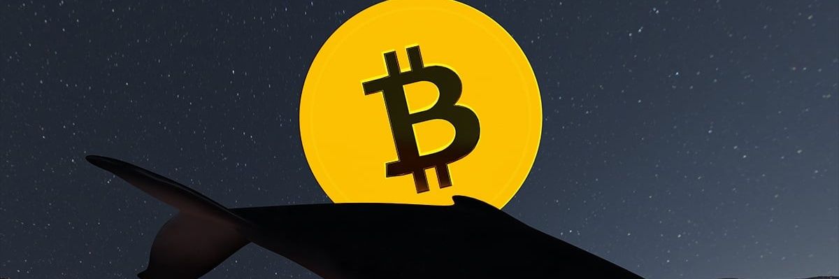 bitpacto's profile banner image