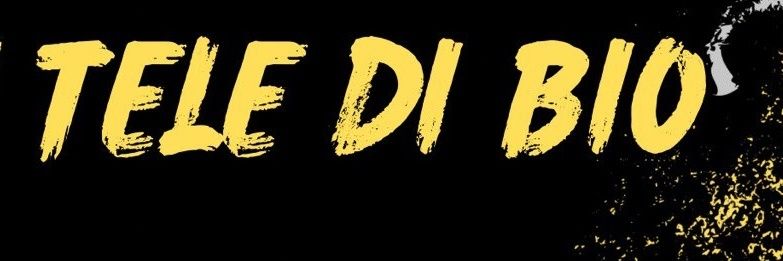 Ae Kesumat banner