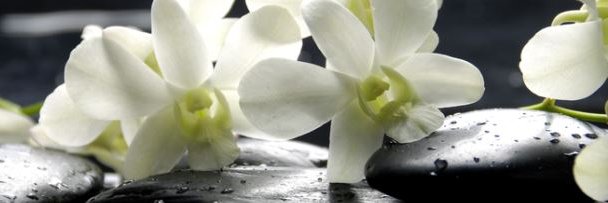 HomeandBody's profile banner image