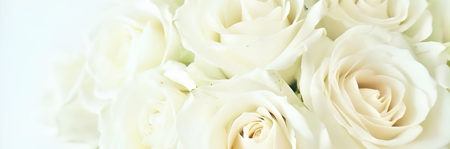 madnomk__'s profile banner image