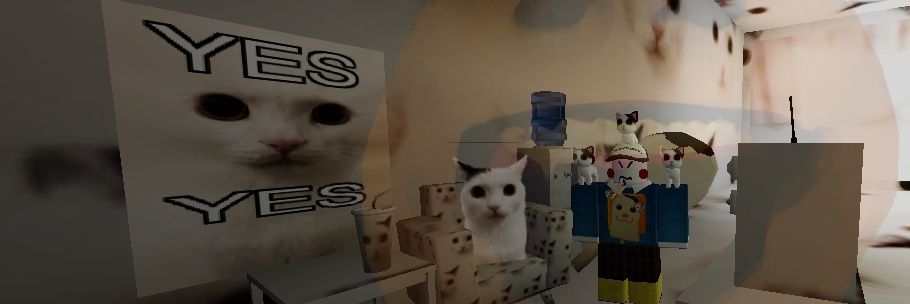 Rejected's banner
