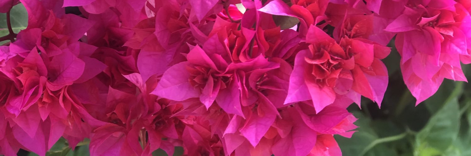 SxmPwincess971's profile banner image