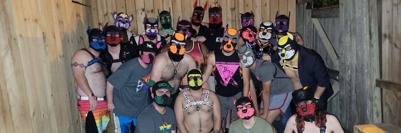 HuskyPupMaximus's profile banner image