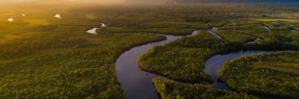 anajanaina Profile Banner