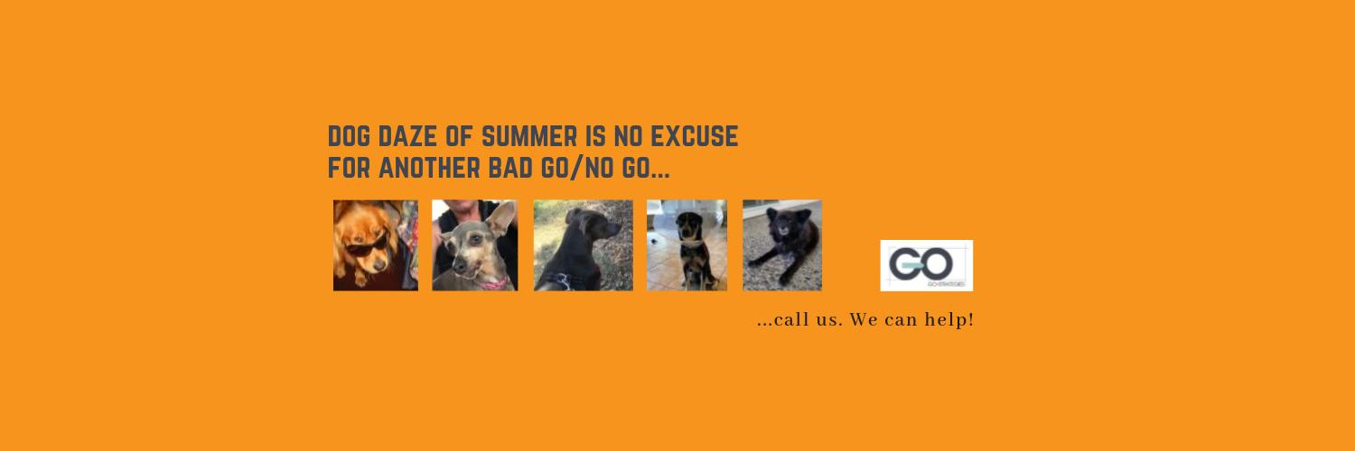 Frank_Lippert's profile banner image