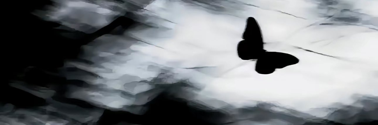 匿蝶 banner