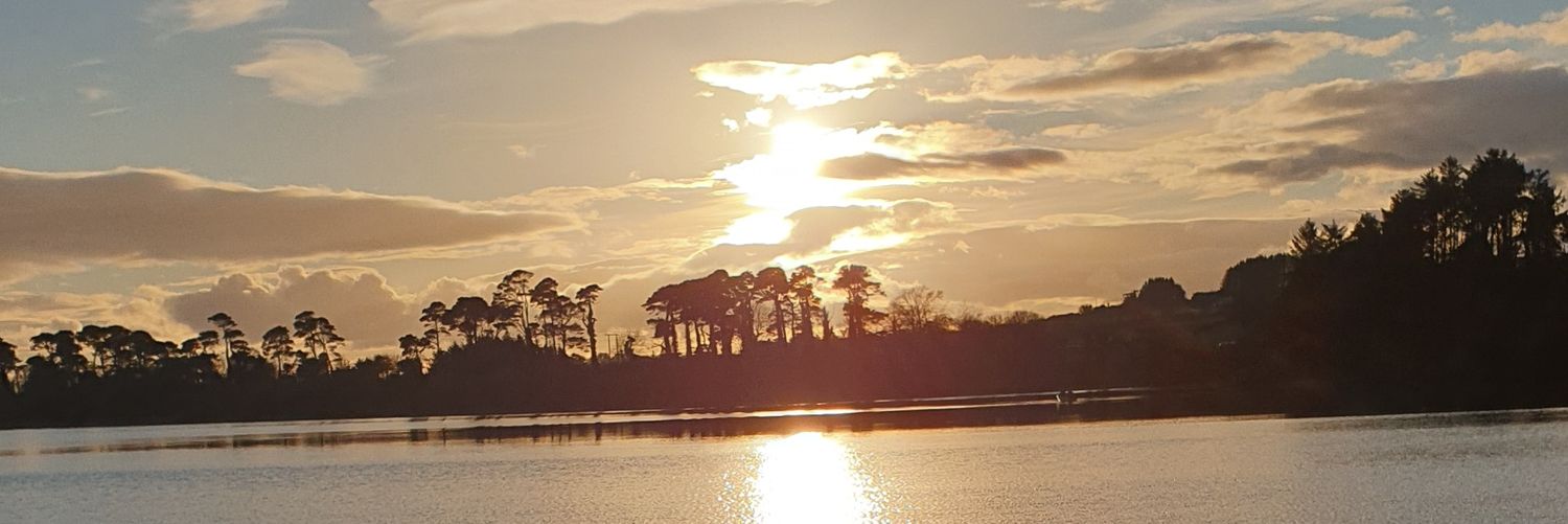 Shane McDonnell banner