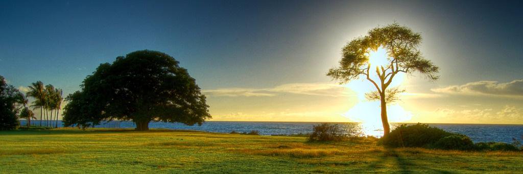Lorena_G7's profile banner image
