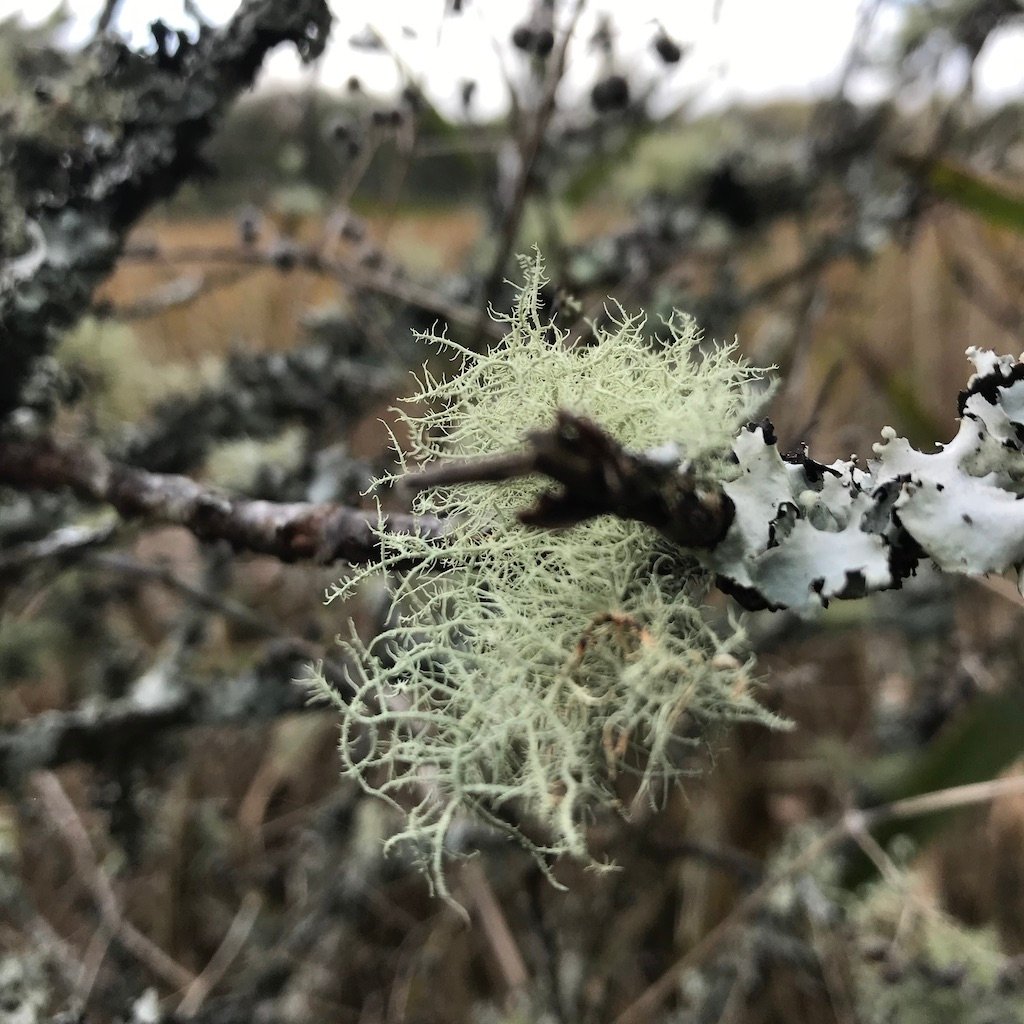 Deborah Richards banner